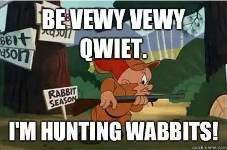 rabbit hunt.jpg