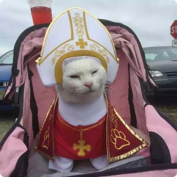 religiouscat.jpg
